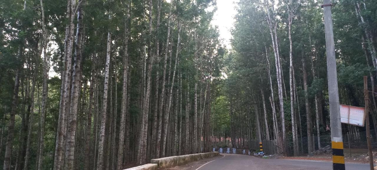 Istays - Loop Road, Йеркод Экстерьер фото